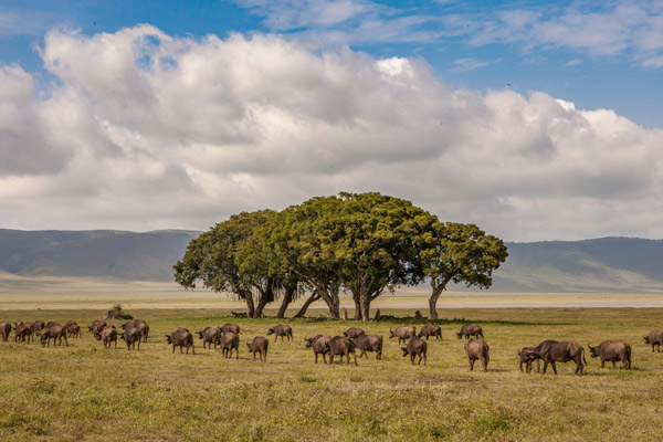 know about Tanzania