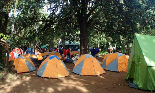 MtiMkubwa Camp