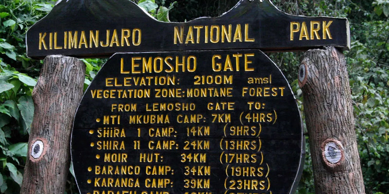 Arusha - Lemosho Gate - MtiMkubwa Camp