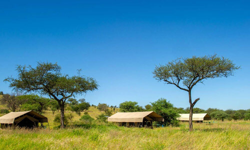 Kati Kati Tented Camp