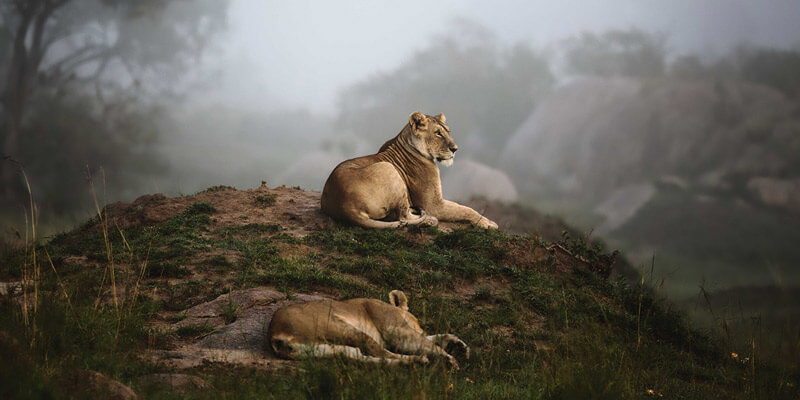 Northern Serengeti