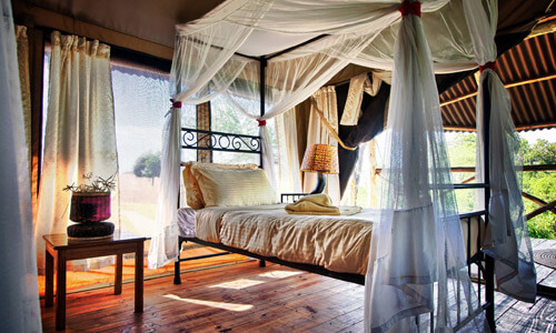 Thorn Tree Tented Camp