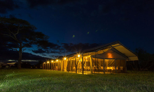 Thorn Tree Tented camp