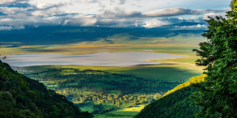 Ngorongoro Crater