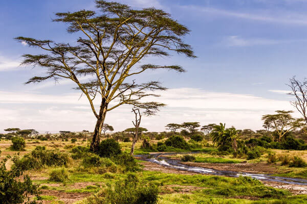 Tanzania Weather