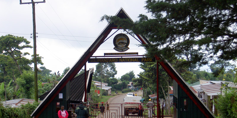 Drive to Kilimanjaro National Park Marangu Gate, Hike to Mandara Hut
