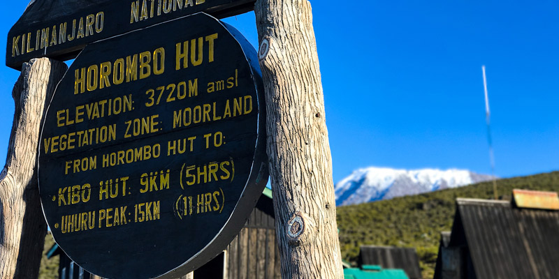 Hike Kibo Hut to Summit, and down to Horombo Hut