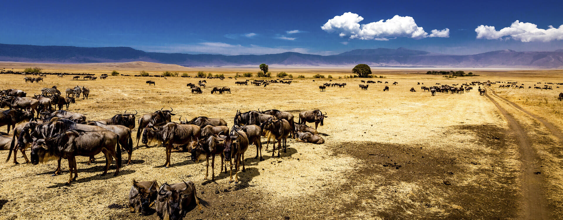 Ngorongoro Conservation Area