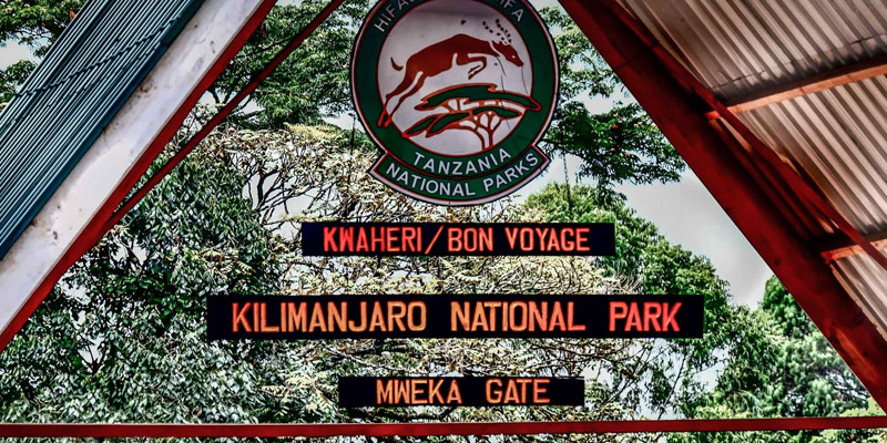 Mweka Camp to Mweka Gate