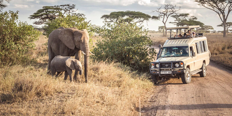 Serengeti National Park