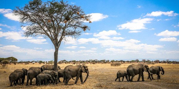Arusha National Park